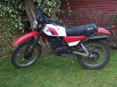 1981 Yamaha DT 175 MX photo